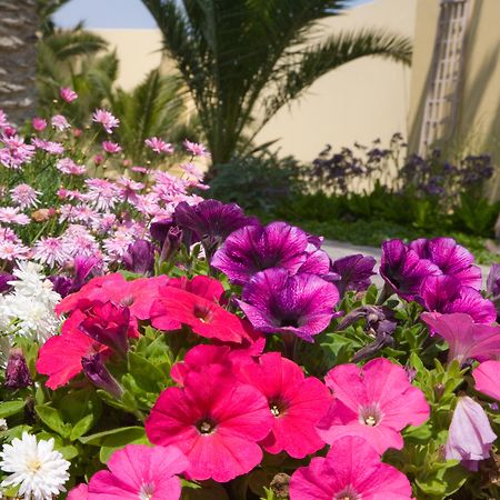 Cornerstone Guesthouse Swakopmund Εξωτερικό φωτογραφία